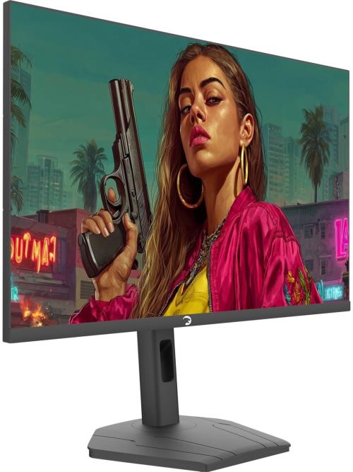 GAMEPOWER 24" LUNIS L25 24¨ 240Hz 0.5Ms Fast IPS FHD RGB Pivot Gaming Monitör (Sıfır Ölü Piksel Garantili)